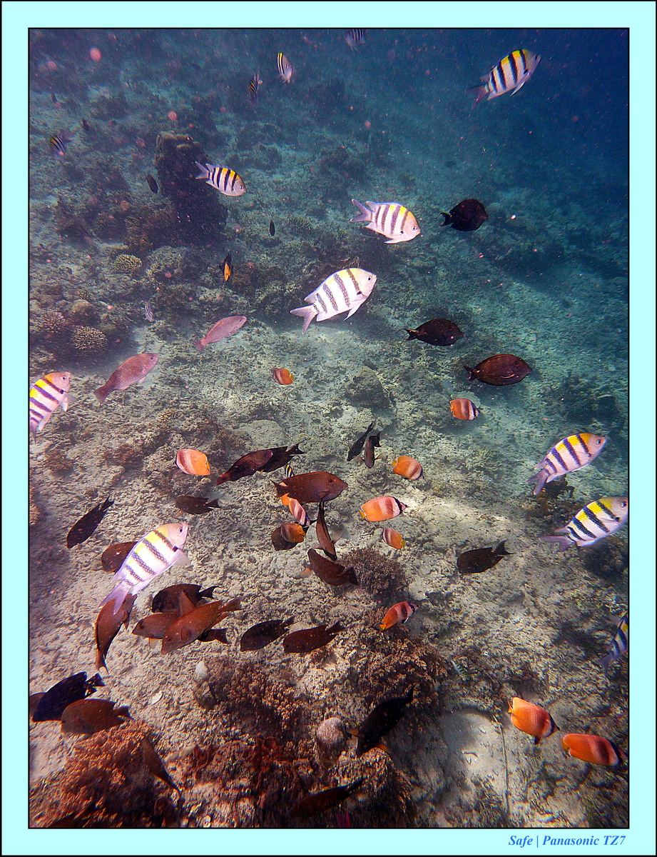 2012 - 07 - Gili - 71